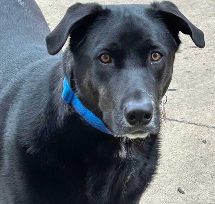 Photo of Clyde