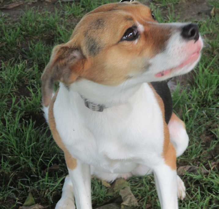 Photo of Annie