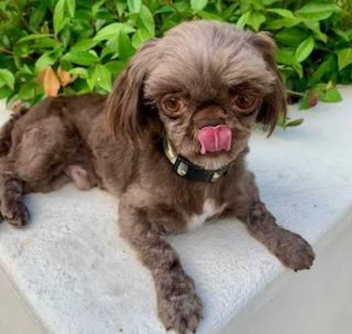 Photo of GUSTAVO "GOOSE"