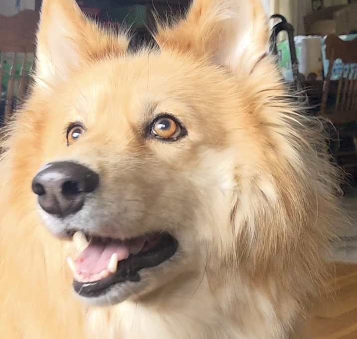 Photo of Daisy mae