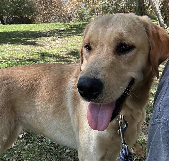 Photo of Marley