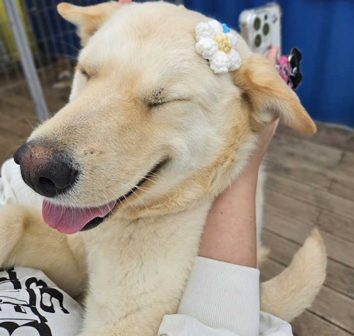 Photo of Daeho
