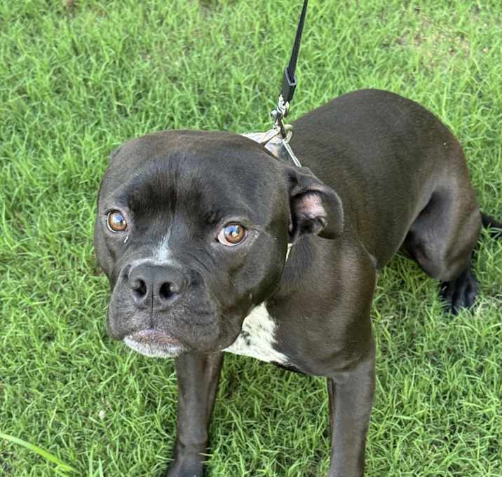 Photo of Roxy