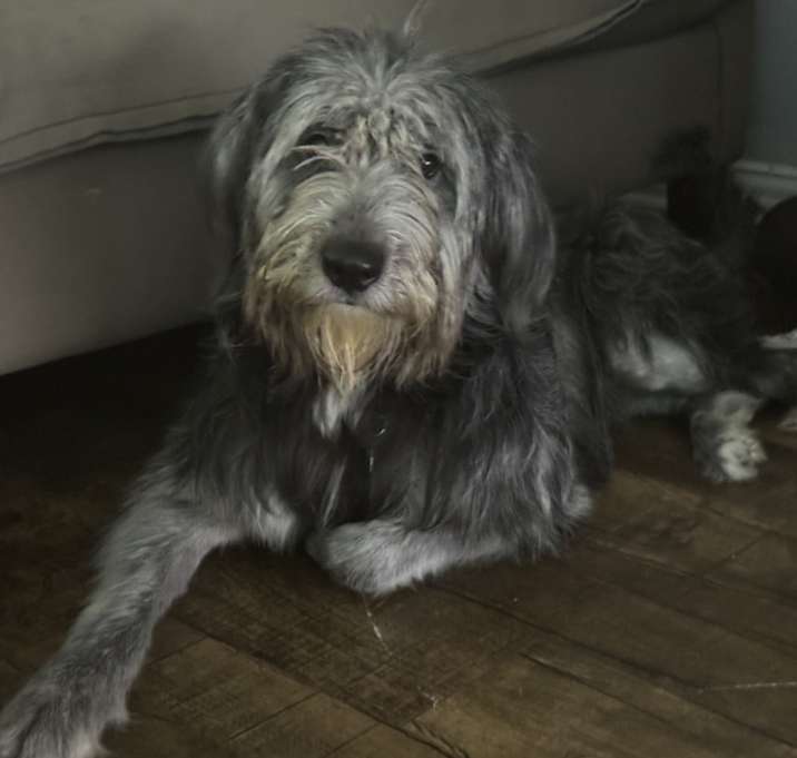 Photo of Zeus