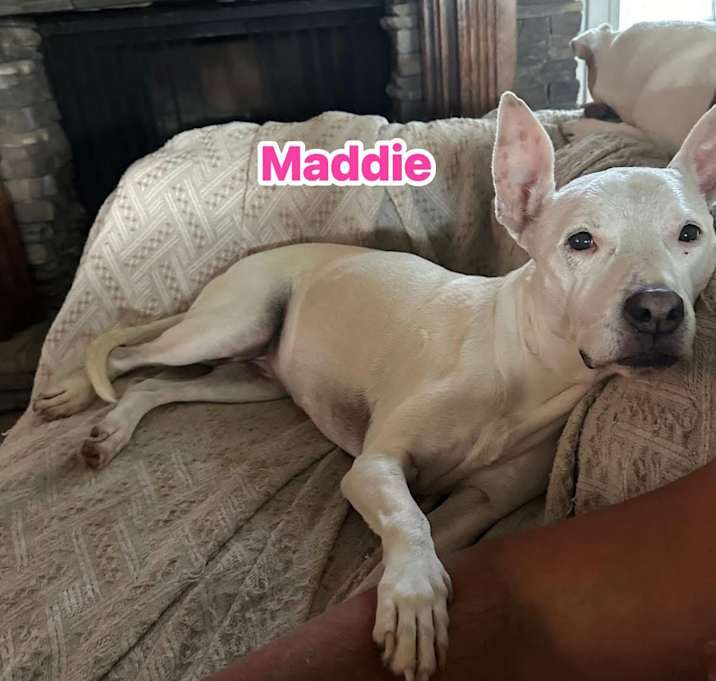 Photo of Maddie