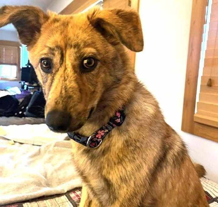 Photo of STUNNING STELLA