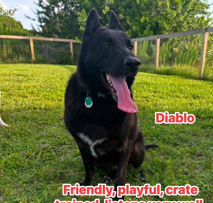 Photo of Diablo
