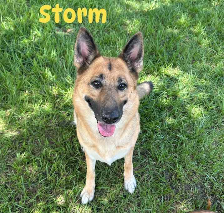 Photo of Storm