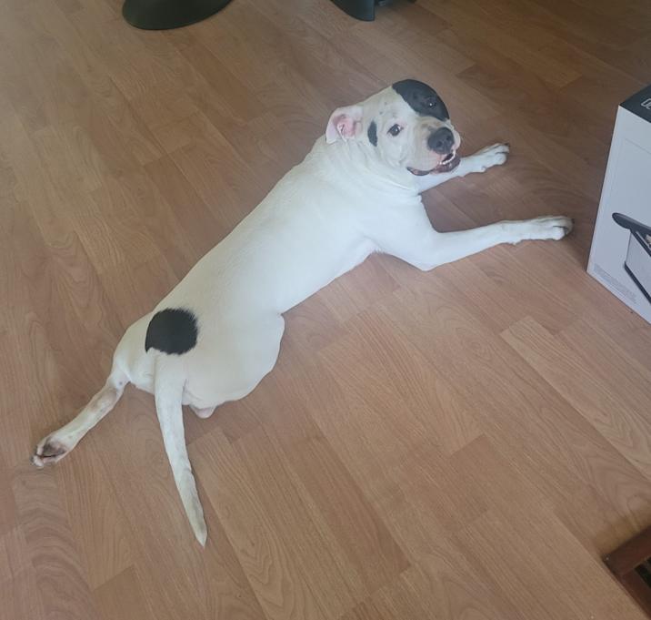 Photo of Aura