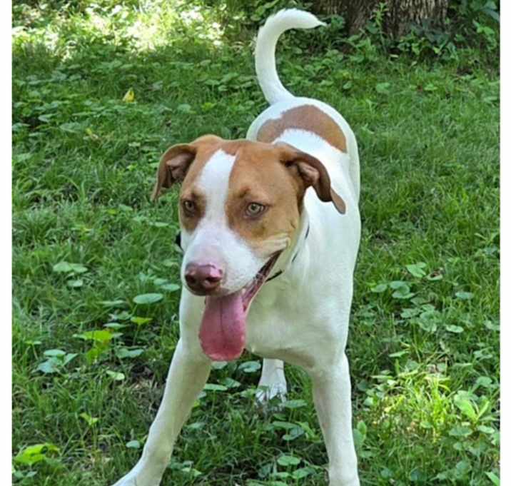 Photo of Gotti