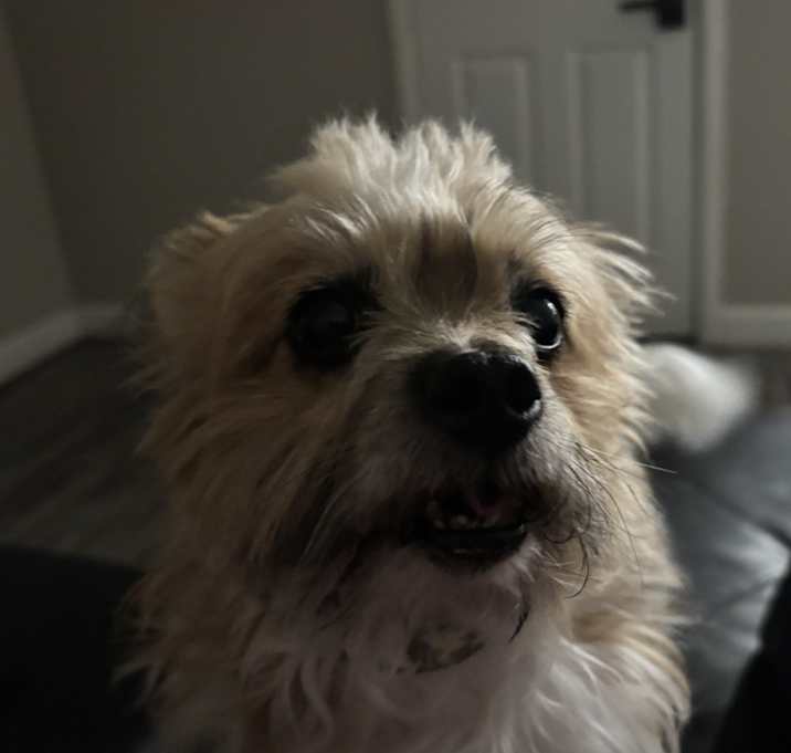 Photo of Carter