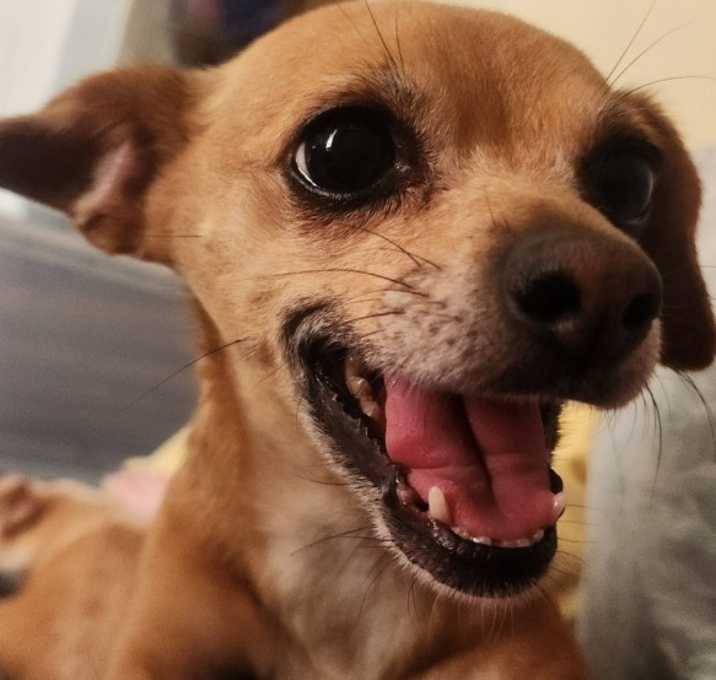 Photo of Nikita