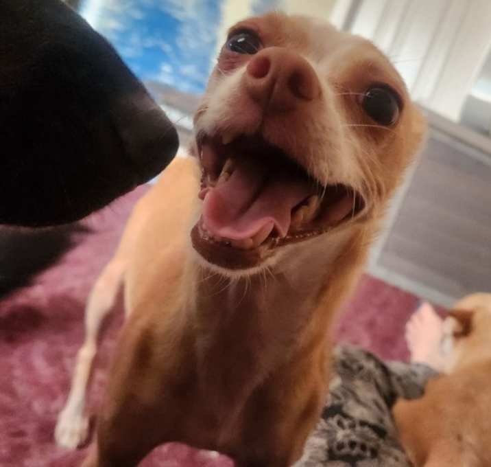 Photo of Charlie