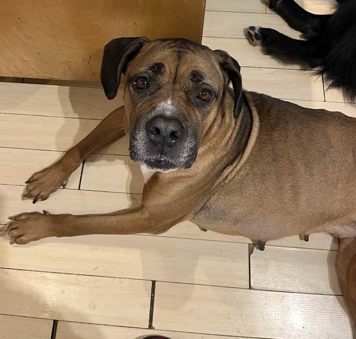 Photo of Benny