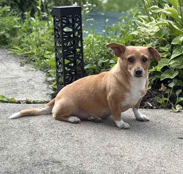 Photo of Lulu