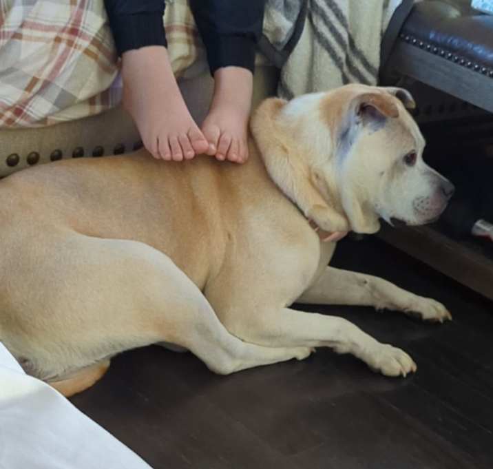 Photo of Pina