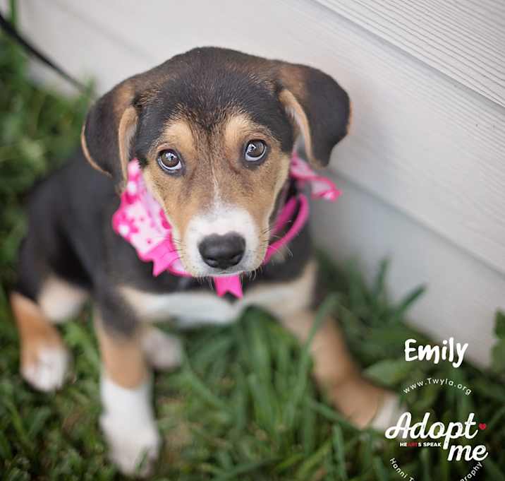 Photo of Emily