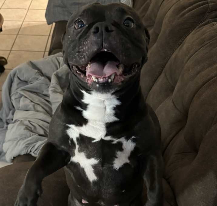 Photo of Gigi