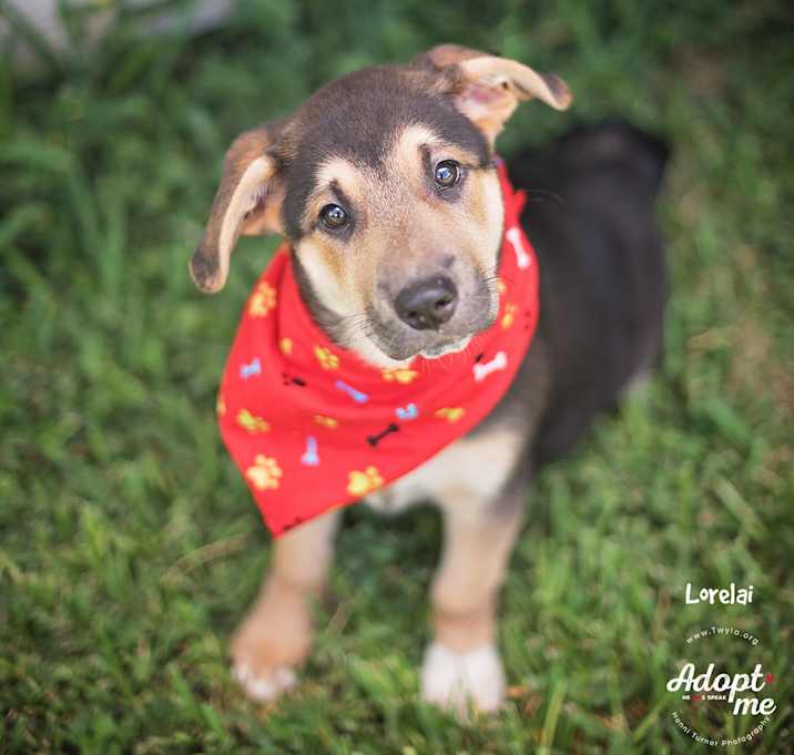 Photo of Lorelai
