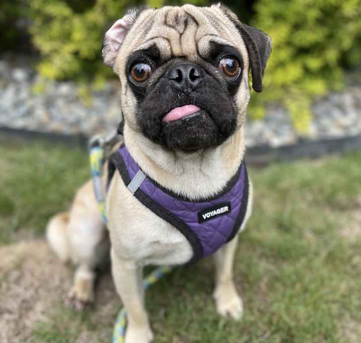 Photo of Curtis