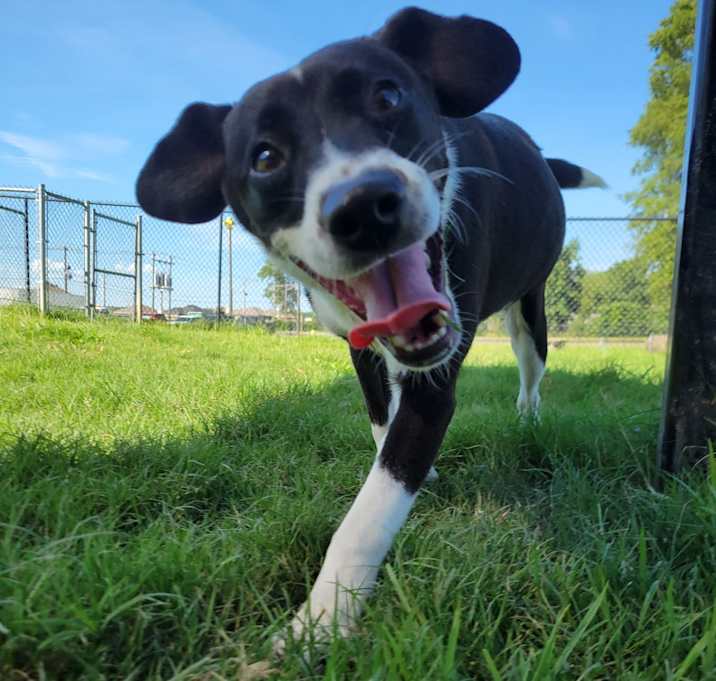 Photo of Honey