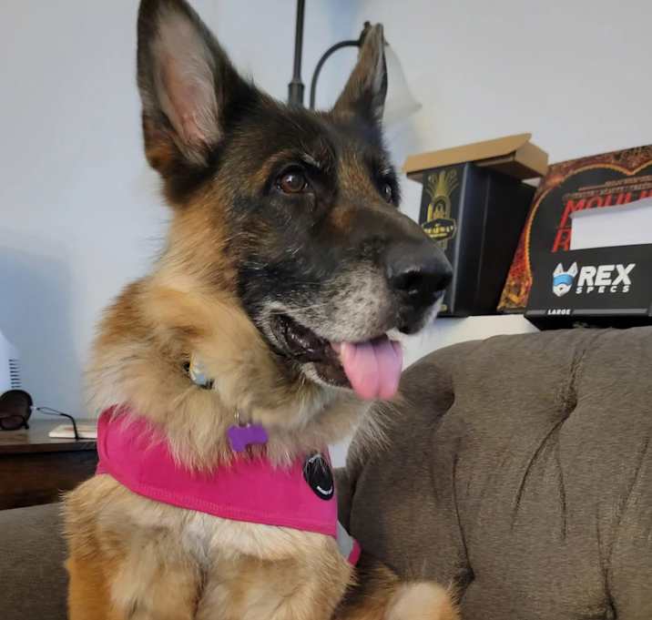 Photo of Ariya