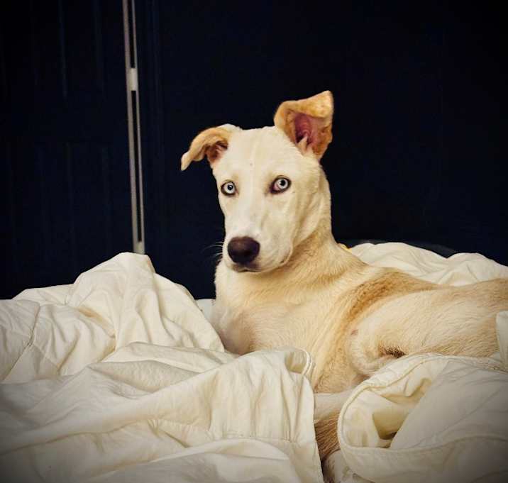 Photo of Lily Blu