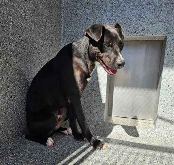 Photo of DONNIE