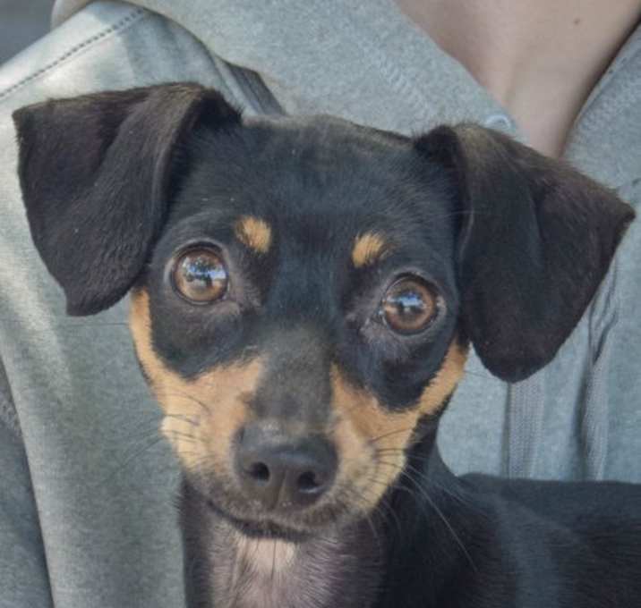 Photo of Minnie