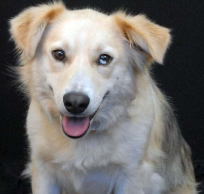 Photo of Riot
