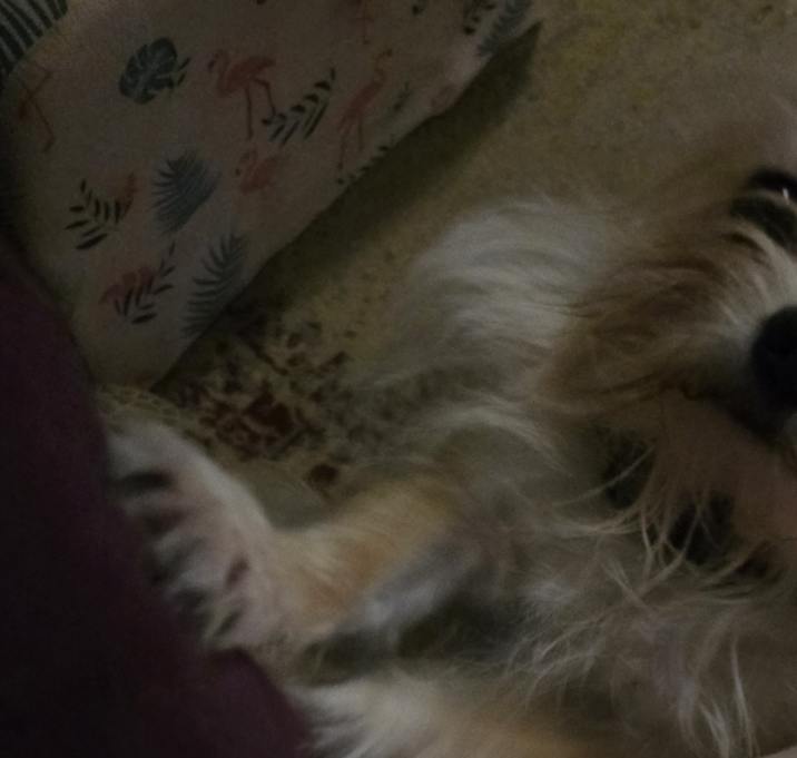 Photo of Jazz