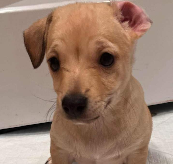 Photo of Thor
