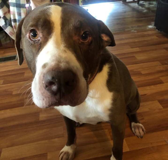 Photo of Titus