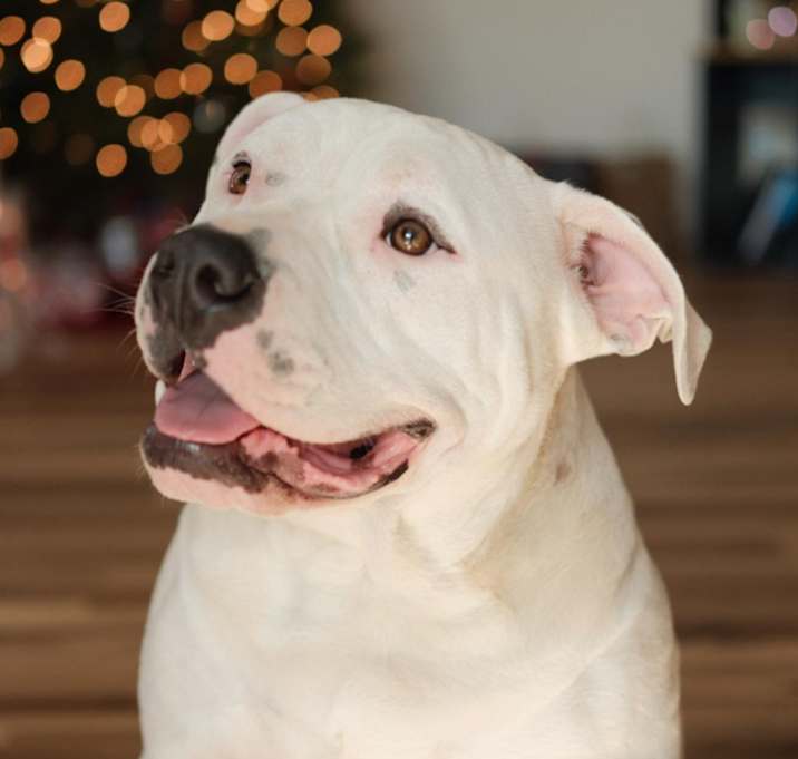 Photo of Chuck