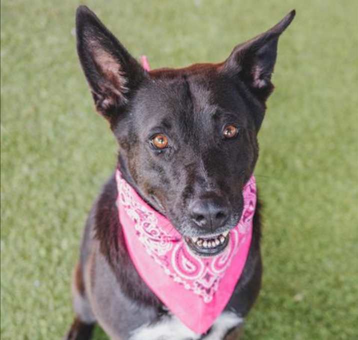 Photo of STELLA