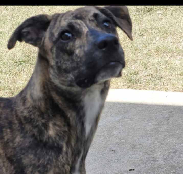 Photo of Navi "Marie"