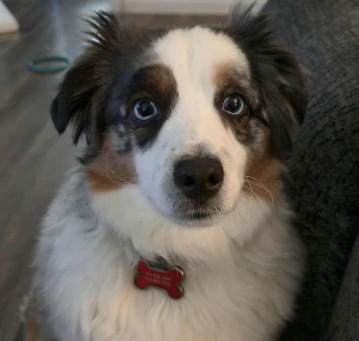 Photo of Skittles