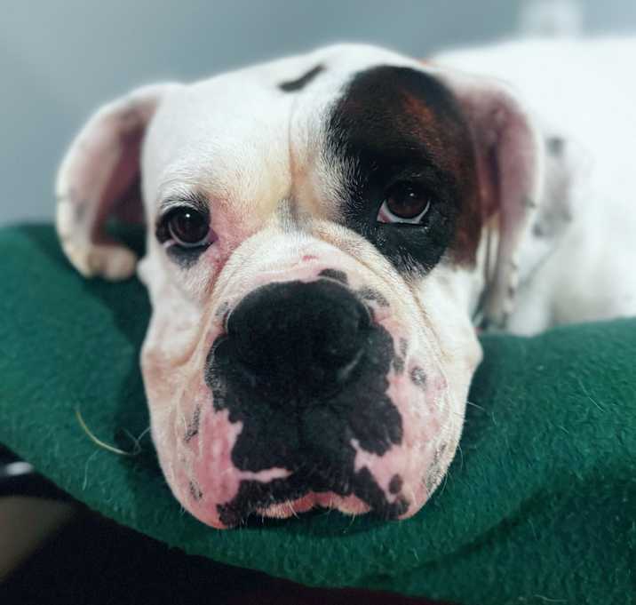 Photo of Heidi