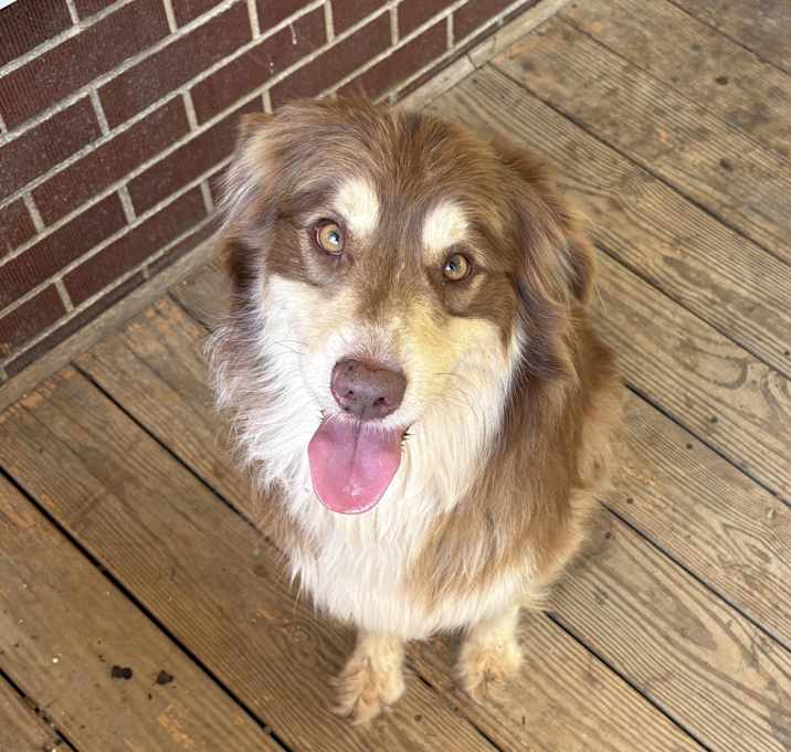 Photo of Remi