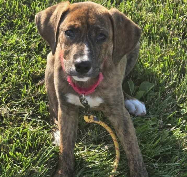 Photo of Maggie