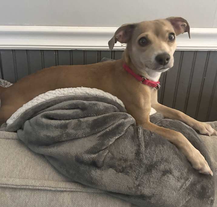 Photo of Molly