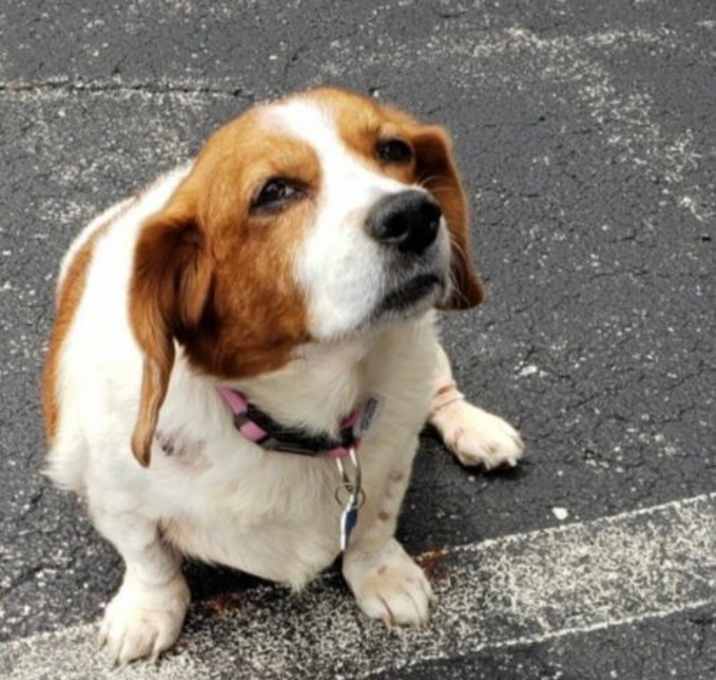 Photo of Angel Mae