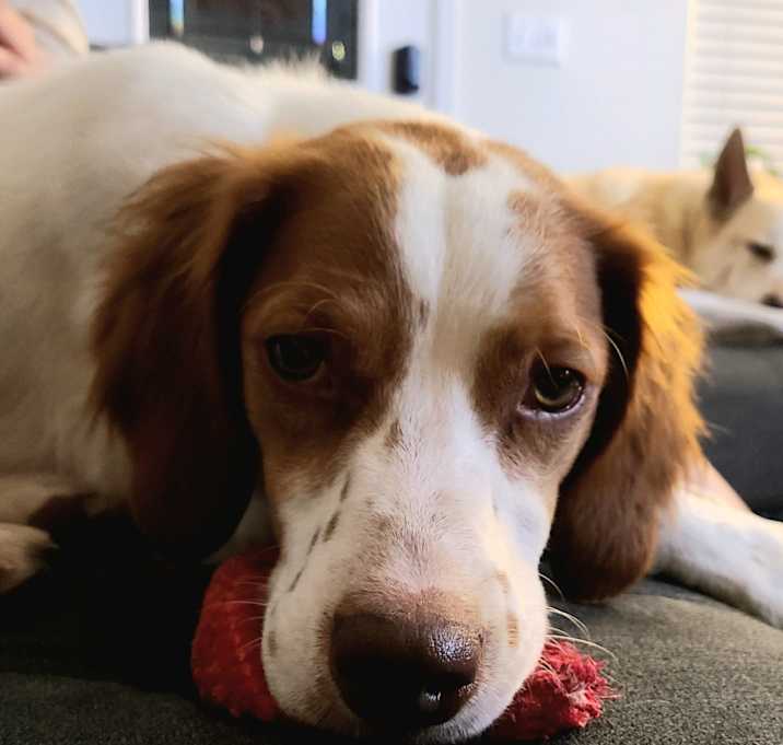 Photo of Maggie