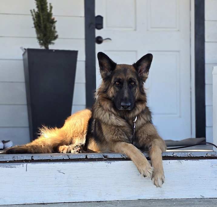 Photo of Georgia