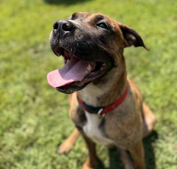 Photo of Bella
