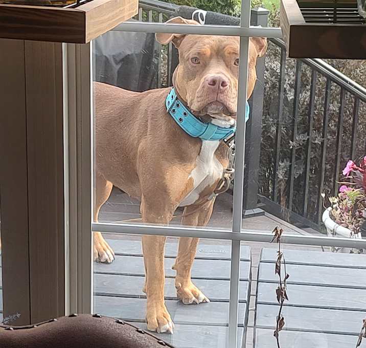 Photo of Ruby