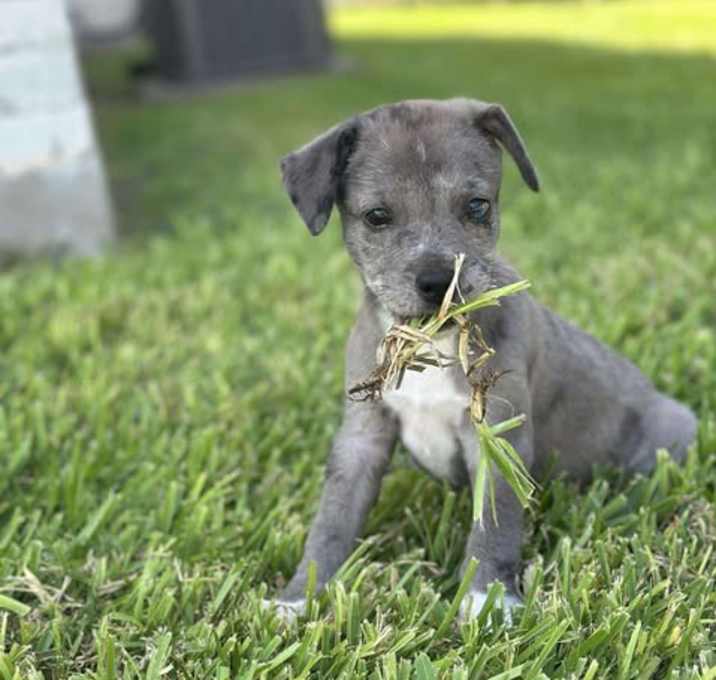 Photo of Cash