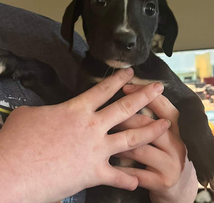 Photo of Jax