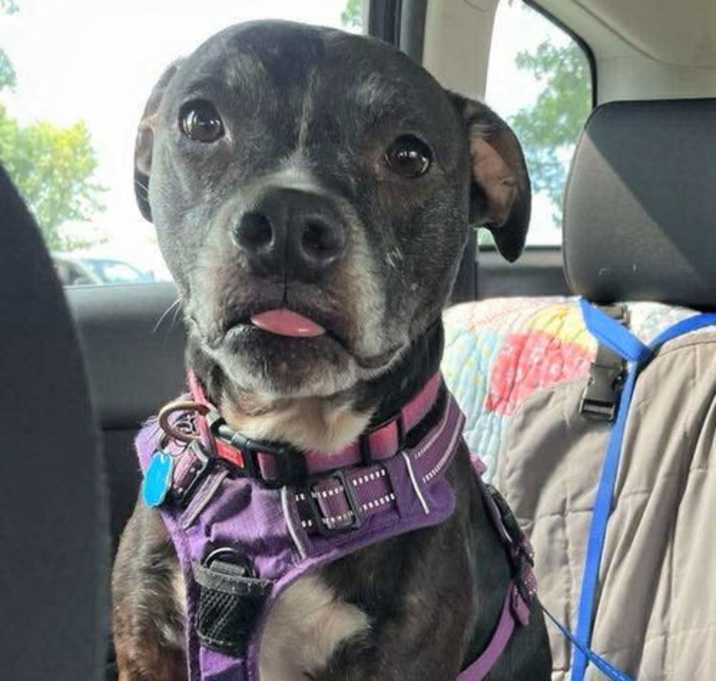 Photo of Luna
