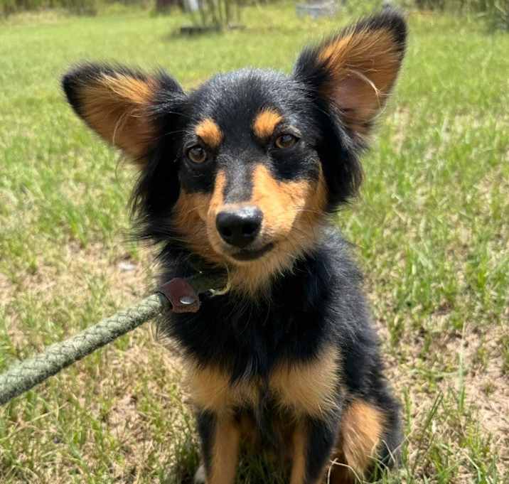 Photo of Jack